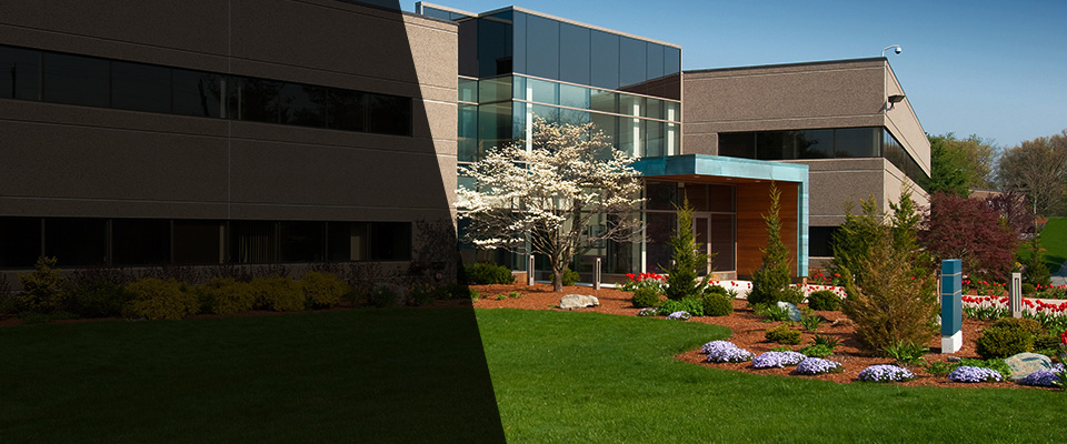 Cordova Landscapers