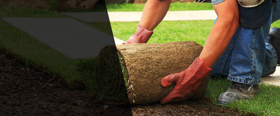 Cordova Landscapers